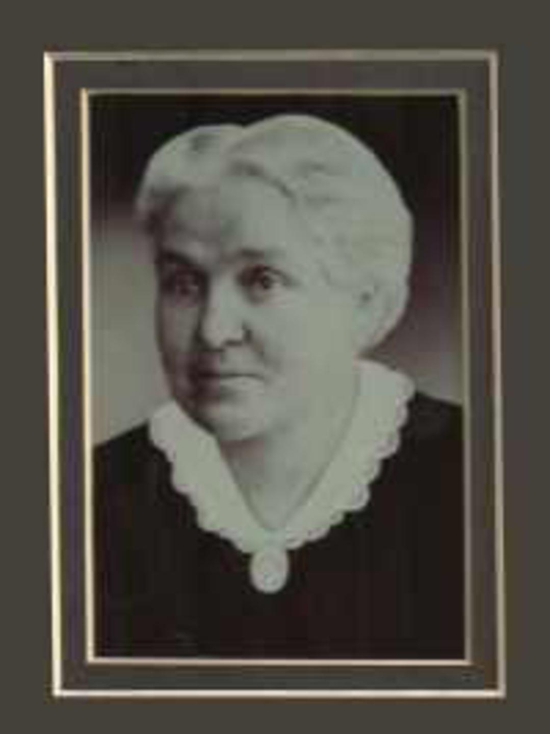 Nancy Elvina Norton (1850 - 1912) Profile